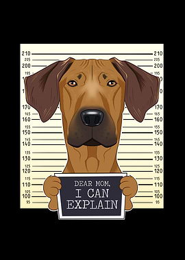 Rhodesian Ridgeback Mom