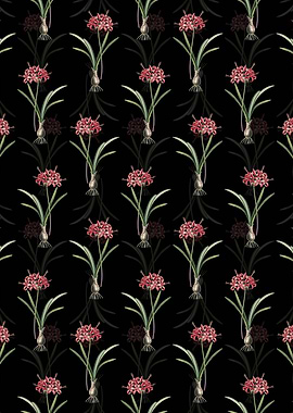 Guernsey Lily Pattern