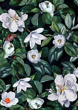 Night Magnolia Garden