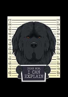 Newfoundland Dog Mom