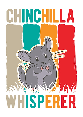 Chinchilla Lover