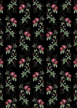 Velvet China Rose Pattern