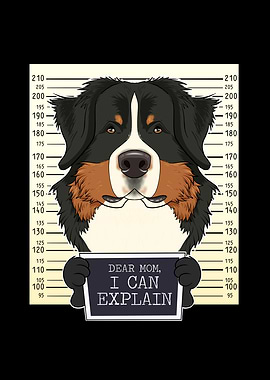 Bernese Mountain Dog Mom
