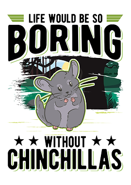 Chinchilla Lover