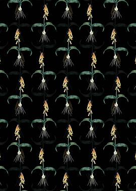 Floral Watsonia Pattern