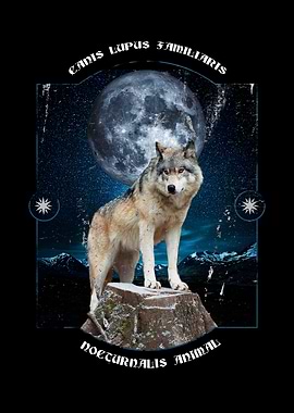 wolf wolves wolfpack natur