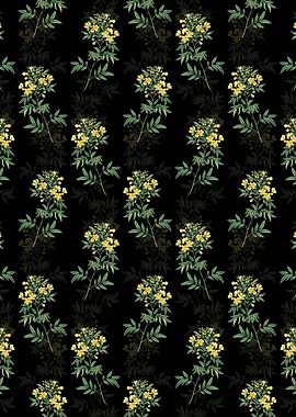 Argentine Senna Pattern