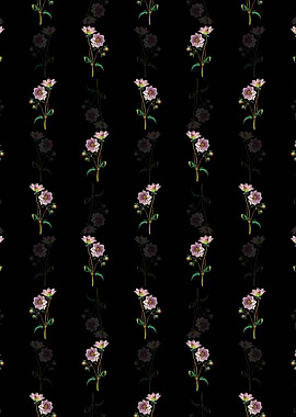 Black Dwarf Dahlia Pattern