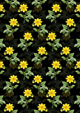 Dahlia Simplex Pattern