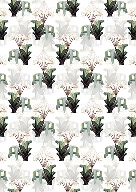 Crinum Erubescens Pattern