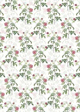 Cinnamon Rose Pattern