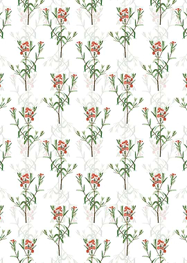 Bog Laurel Bloom Pattern