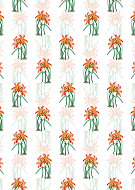 Meadow Habranthus Flower