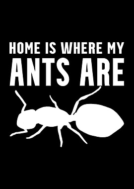 Home Is Where My Ants Are