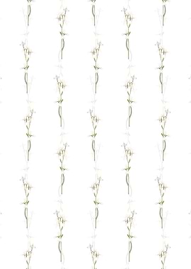 Siberian Iris Pattern