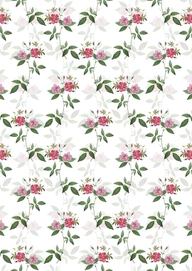 Hudson Rosehip Pattern