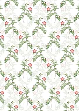 Pink Alpine Rose Pattern