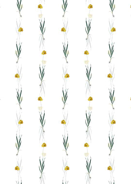 Floral Orange Ixia Pattern