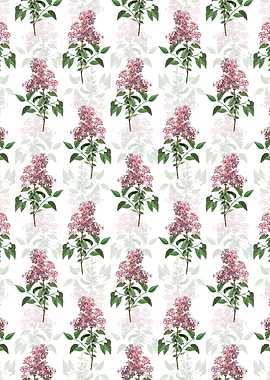 Chinese Lilac Pattern