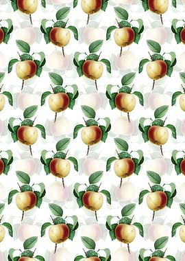 White Snow Calville Apple