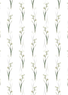 White Painted Lady Pattern