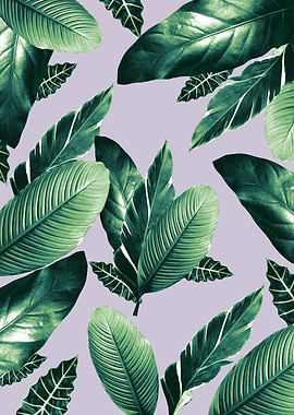 Caribbean Leaves Dream 1