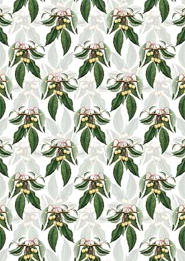 Floral Cherry Pattern