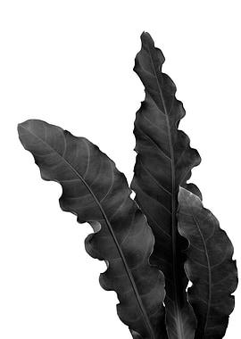 Minimal Tropical Leaves 1