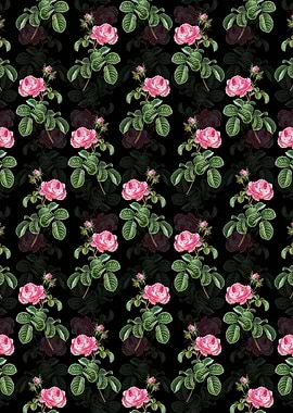 Provence Rose Pattern