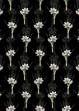Autumn Crocus Pattern