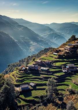 Himalayan Terraces