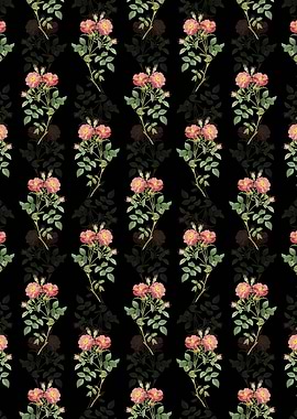 Elizabeths Sweetbriar Rose