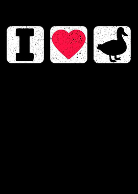 I Love Ducks