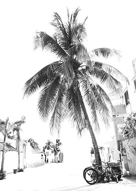 Caribbean Street Vibes 2