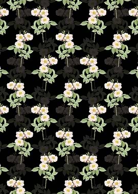 Rose of Castile Pattern