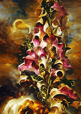 Foxglove Blossoms