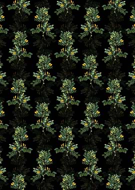 Siberian Pea Tree Pattern