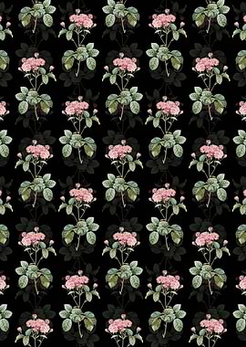Pink Rosebush Pattern
