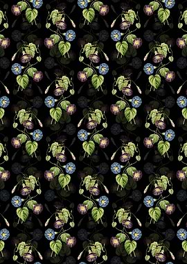 Morning Glory Pattern