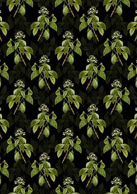 Climbing Hydrangea Pattern