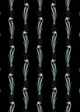 Harlequin Blueflag Pattern