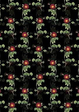 Black Floral Rose Pattern