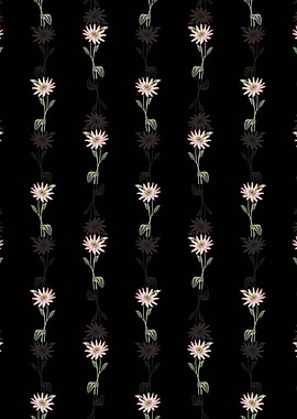 Mr Dicksons Echinacea