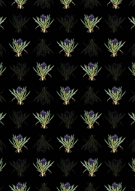 Floral Pygmy Iris Pattern