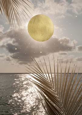 Caribbean Sunset Dream 1