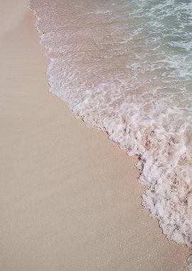 Mexican Ocean Beauty 2