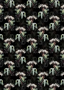 Crinum Erubescens Pattern