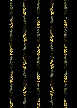 Floral Adenocarpus Pattern