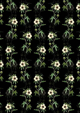 Venice Mallow Pattern