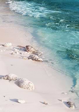 Caribbean Ocean Dream 2